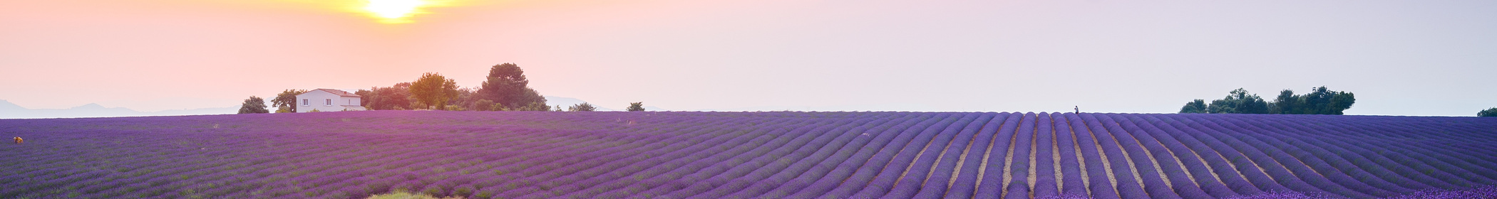 image principale pour la page estimer